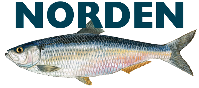 Norden Herring logo